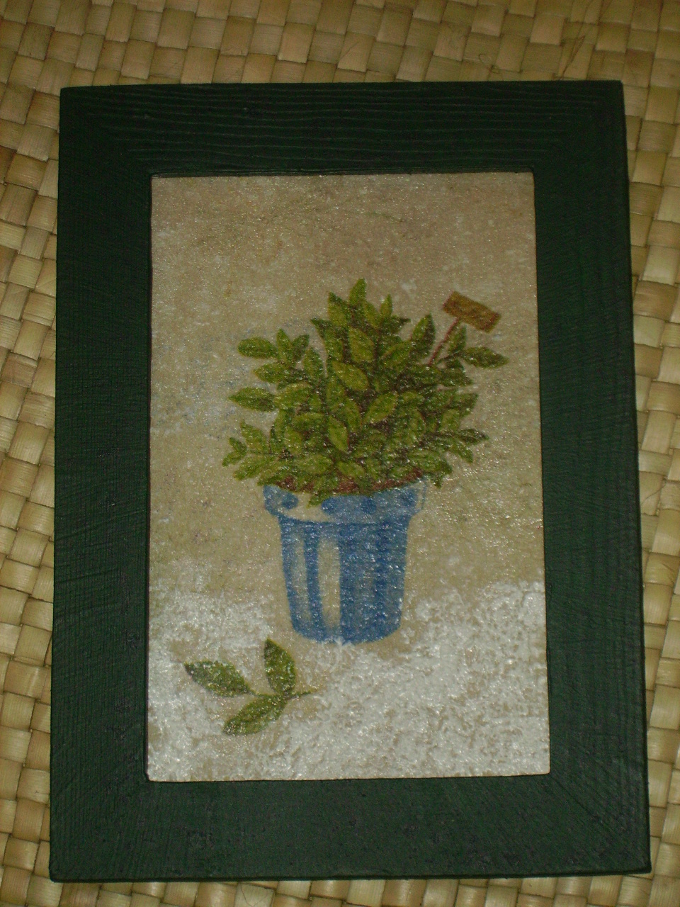 Koření zelená - bazalka